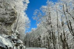 neve-amiata-21-12-2024-foto-silvia-landi-02