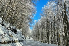 neve-amiata-21-12-2024-foto-silvia-landi-03