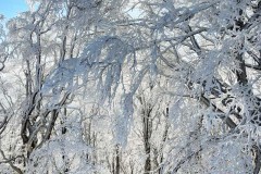 neve-amiata-21-12-2024-foto-silvia-landi-04