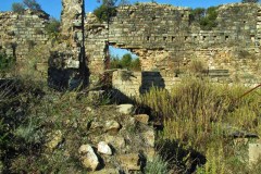 castel-di-pietra-maremma-oggi-01