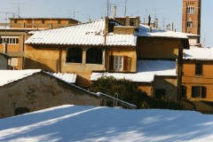 nevicata-1985-grosseto-foto-edoardo-cao-maremma-oggi-06