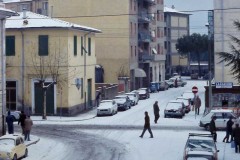 nevicata-1985-foto-paolo-pieri-maremma-oggi-01