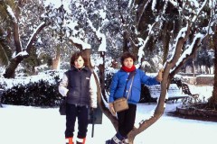 nevicata-1985-foto-paolo-pieri-maremma-oggi-03