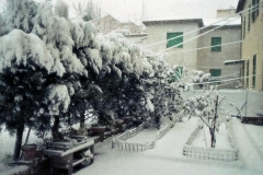 nevicata-grosseto-gennaio-1985-maremma-oggi-08