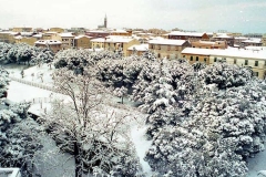 nevicata-grosseto-gennaio-1985-maremma-oggi-10