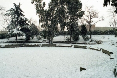 nevicata-grosseto-gennaio-1985-maremma-oggi-11