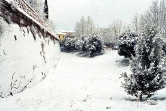 nevicata-grosseto-gennaio-1985-maremma-oggi-12