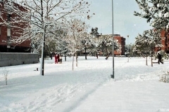 nevicata-grosseto-gennaio-1985-maremma-oggi-13