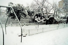 nevicata-grosseto-gennaio-1985-maremma-oggi-14