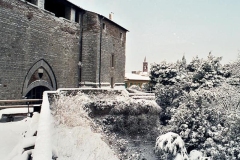 nevicata-grosseto-gennaio-1985-maremma-oggi-16