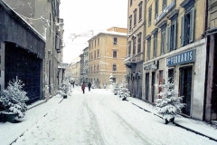 nevicata-grosseto-gennaio-1985-maremma-oggi-17