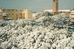 nevicata-marina-1985-maremma-oggi-01