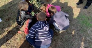La festa dell'albero alla scuola dell'infanzia di Civitella Marittima