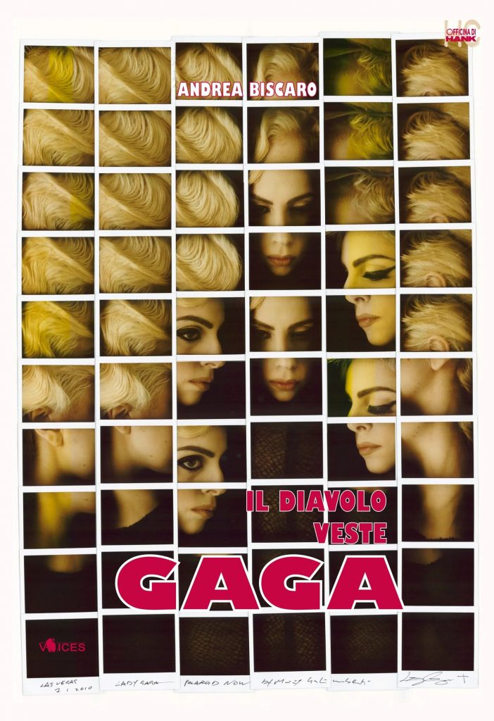Copertina del libro "Il diavolo veste Gaga"