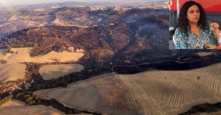 L'area devastata dalle fiamme a Cinigiano