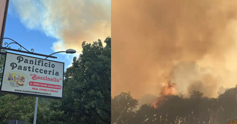 Evacuato il panificio. Il panificio di Baccinello minacciato dal fuoco