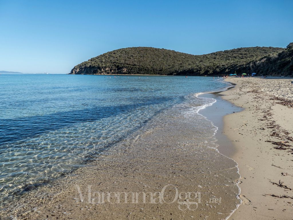 La spiaggia di Cala Violina