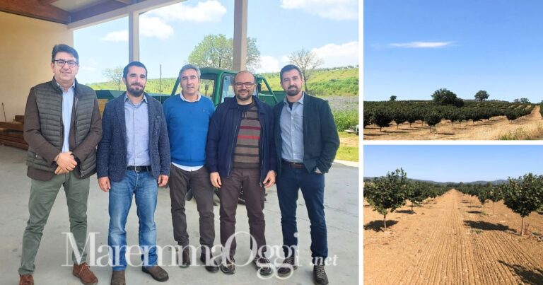 Tenuta Loacker Corte Migliorina. Da sinistra: i professori dell'Università della Tuscia Andrea Bellincontro, Valerio Cristofori e Simone Priori, l'agronomo Maurizio Domenichini e Maurizio Furlan (Loacker)