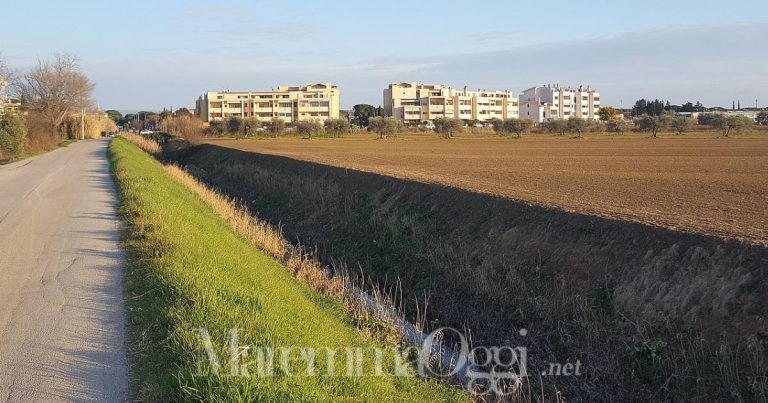 Il fosso Beveraggio nella zona delle Gemme a Barbanella