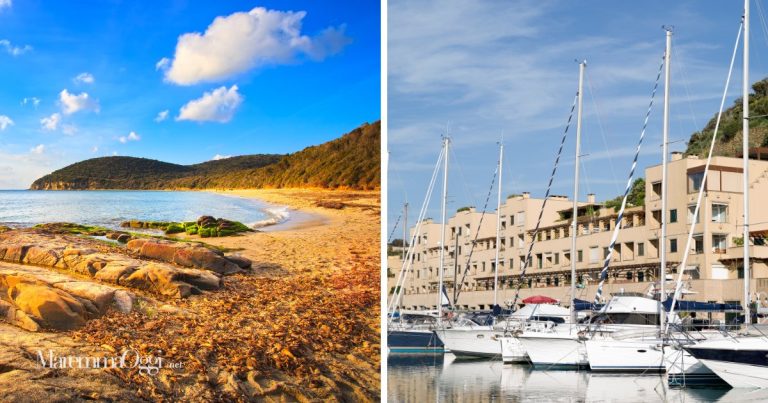 Cala Violina e Punta Ala sono le località turistiche in Maremma più ricercate su Google