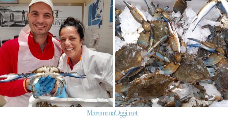 Granchio Blu alla Conad di via Scansanese a Grosseto