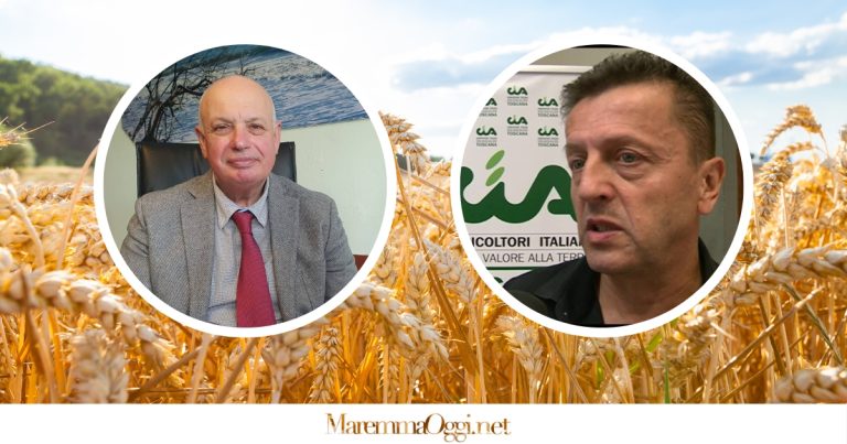 Cia agricoltori Grosseto sulla questione grano. Nel riquadro di sinistra Claudio Capecchi (presidente Cia agricoltori Grosseto) e con Enrico Rabazzi (direttore dell’associazione di categoria)