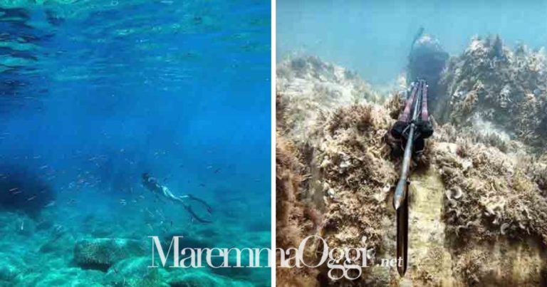 Un corso per imparare la pesca in apnea