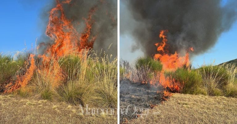 Due immagini dell'incendio a Baccinello