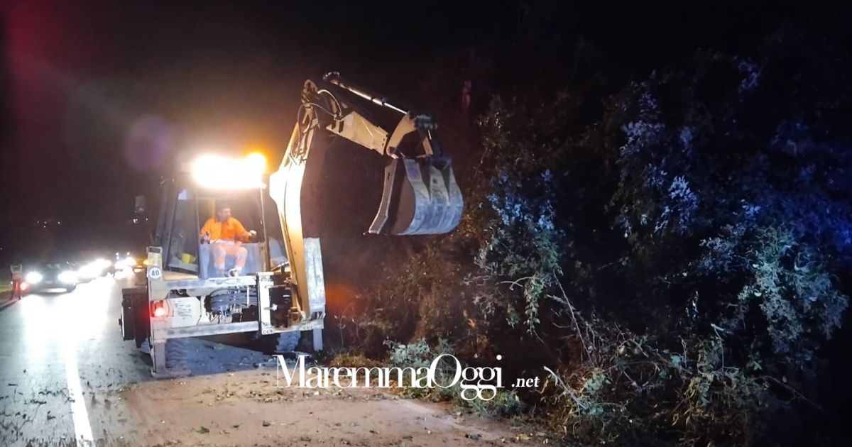 Squadra della Vab al lavoro sulla Castiglionese per rimuovere i detriti di un albero