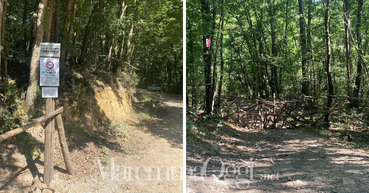 Il cartello e la barriera fatta con i pezzi di legno