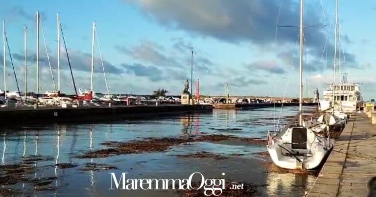 Cannucce portate dalla piena nel porto canale di Castiglione