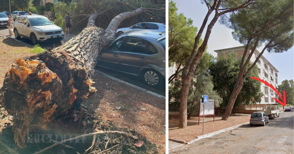 Il pino caduto su un'auto in via Monviso e, a destra, la foto da Google Maps che mostra il pino già inclinato