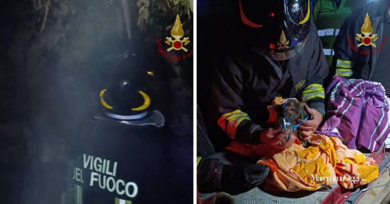 Brucia cascina a Boccheggiano, muoiono cani e gatti, l'intervento dei vigili del fuoco