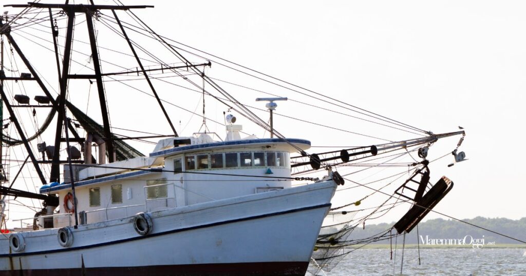 Pesca a strascico: individuato e sanzionato dalla Guardia costiera un peschereccio che, non solo pescava in zona vietata, ma lo faceva anche utilizzando attrezzi vietati