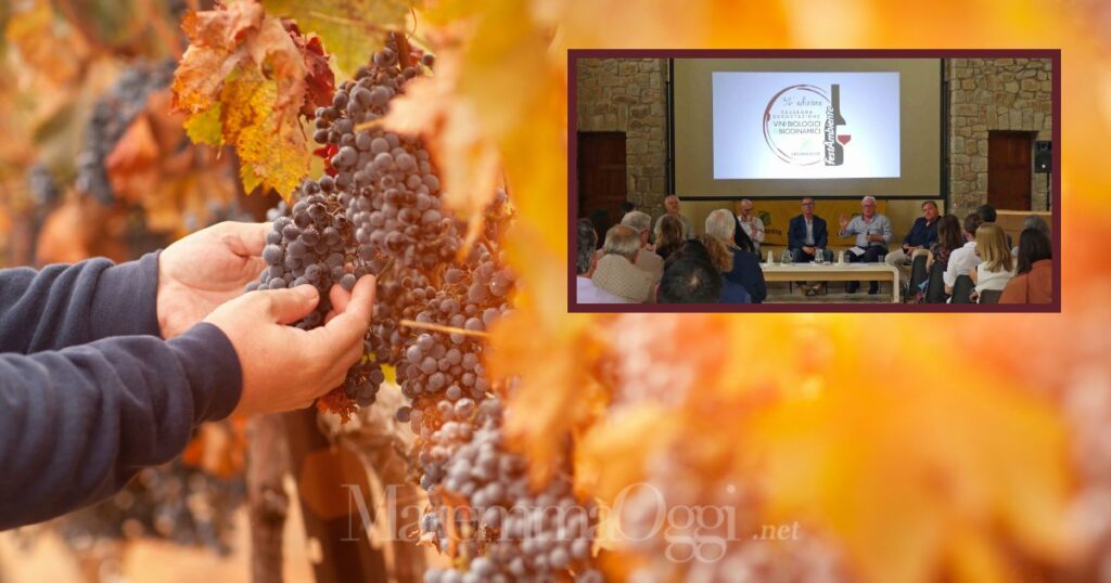 Premiati a Rispescia da Legambiente i migliori vini biologici e biodinamici italiani.