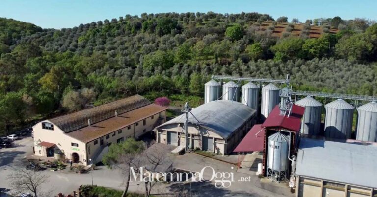 La sede della Cooperativa Agricola Pomonte, nel territorio di Scansano