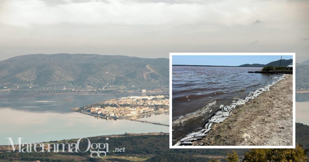 Una veduta di Orbetello e un'immagine della moria di pesci