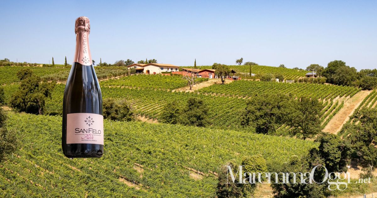 La vista nella Fattoria San Felo e la bottiglia di Alevit