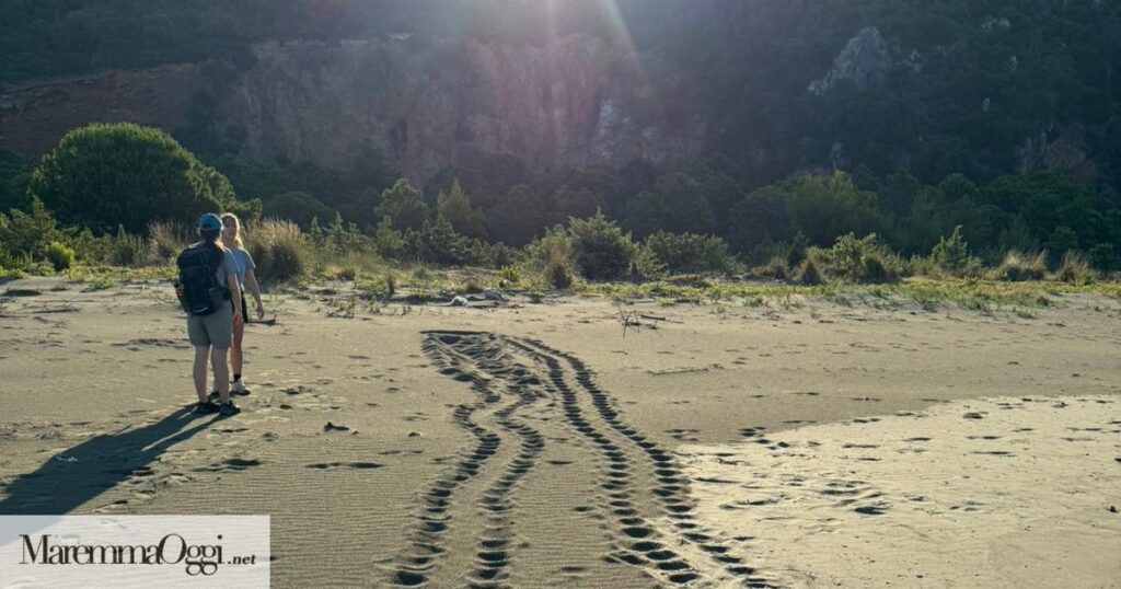 La spiaggia di Cala Rossa