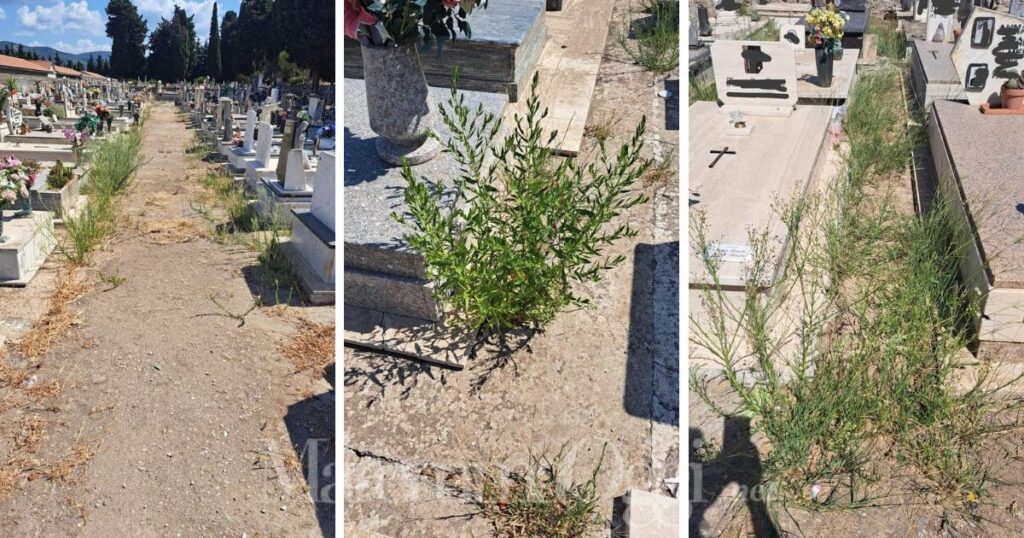 Alcune immagini del degrado al cimitero di Orbetello