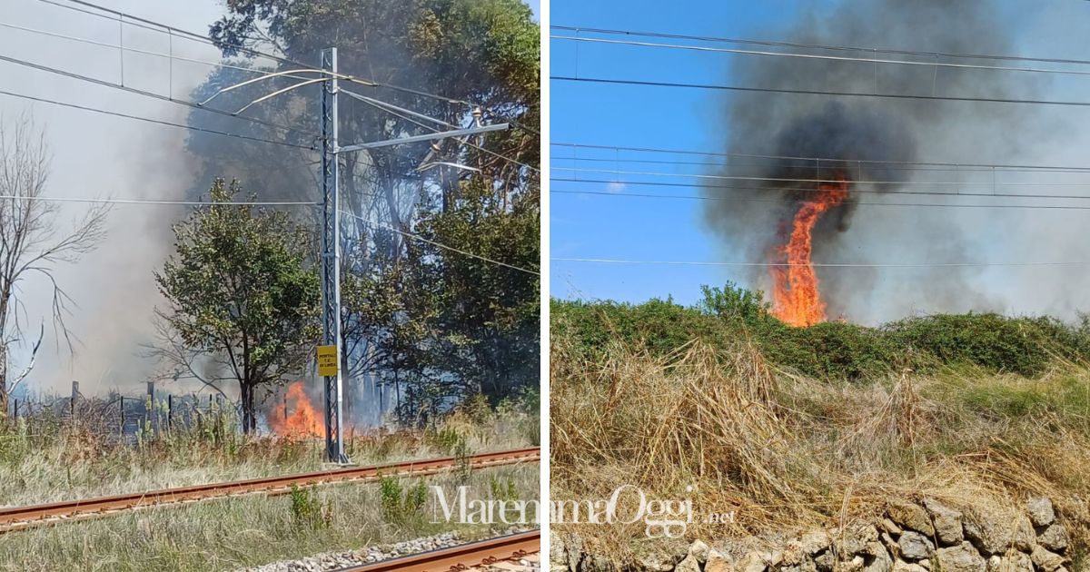 Altre due immagini delle fiamme lungo la ferrovia a Capalbio