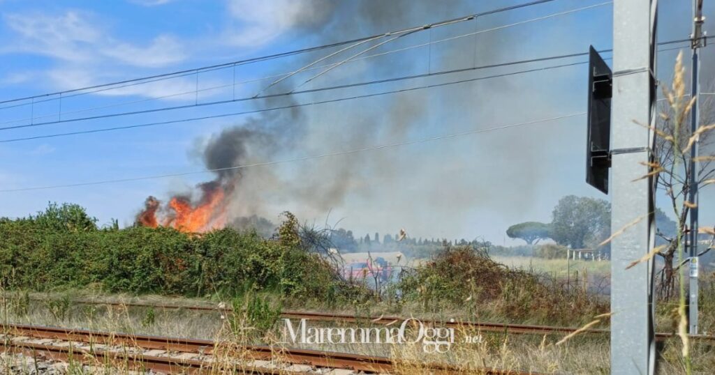 Le fiamme lungo la ferrovia a Capalbio