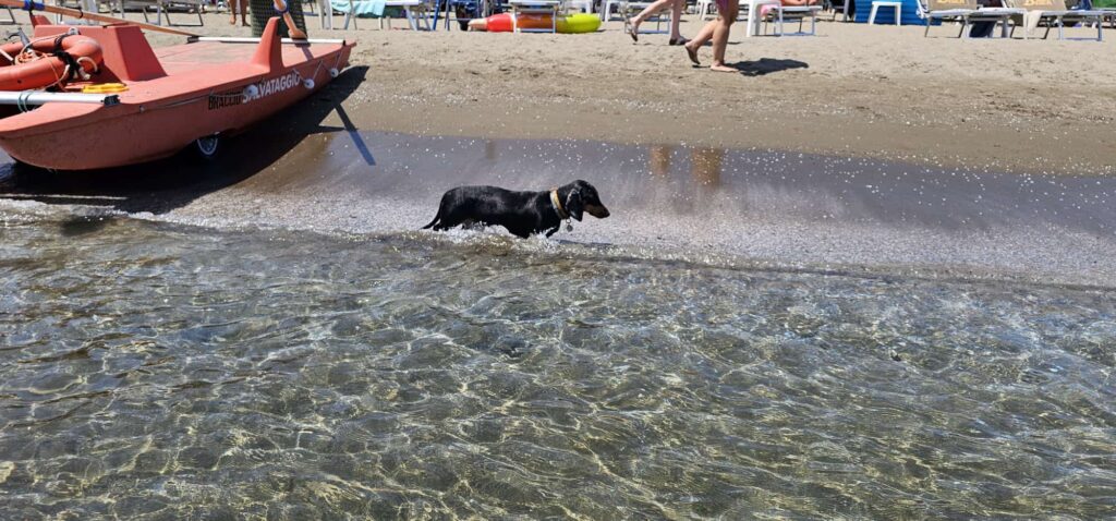 La spiaggia della Feniglia