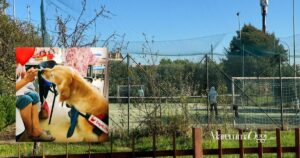 I campi da tennis dell’Asd Queen’s club al Casalone e uno dei cani di Dog4Life per la pet therapy