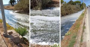 La schiuma nel fosso Glacis, nella laguna di Orbetello