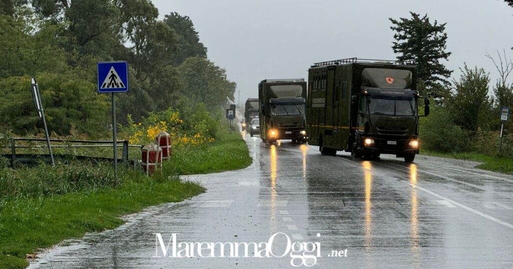 L'arrivo dei container dell'Esercito al Cemivet