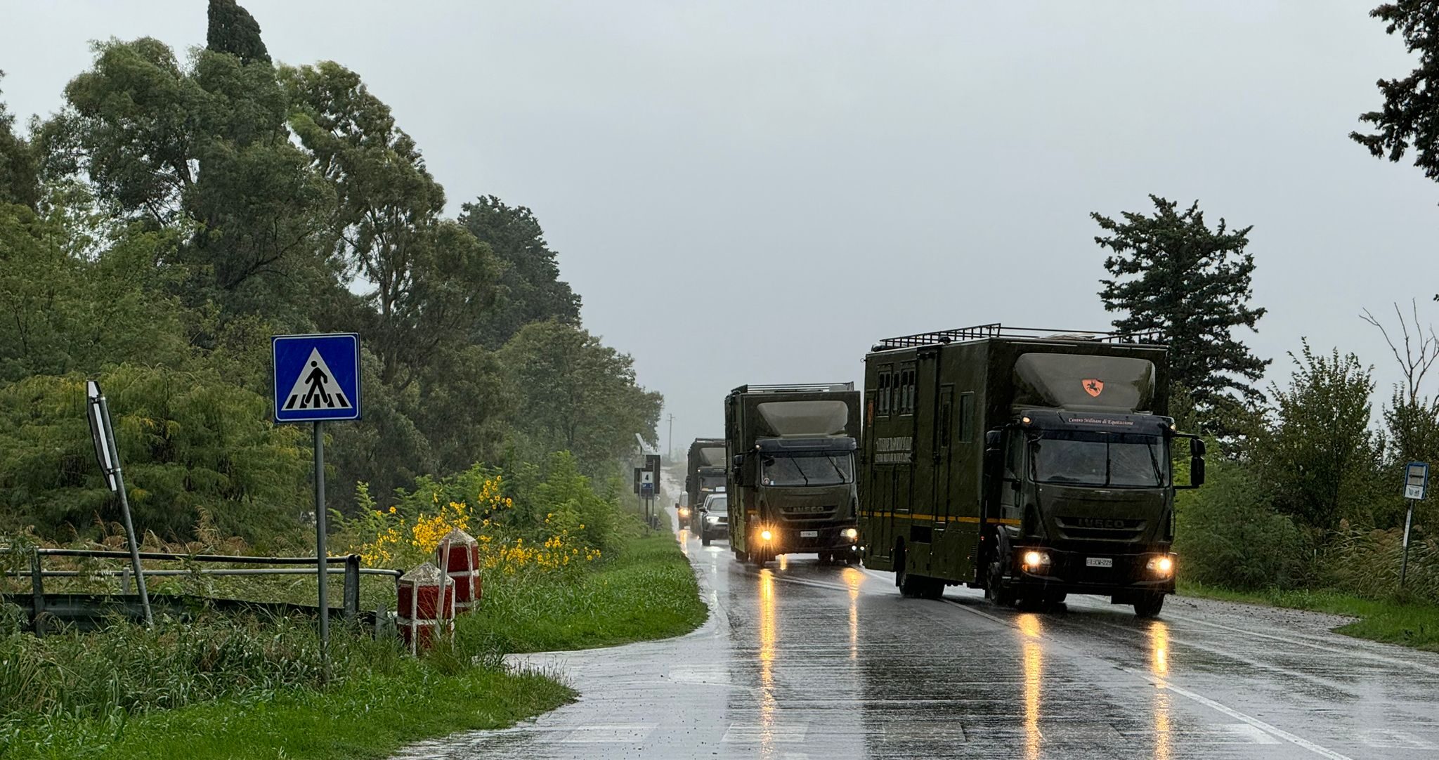 I container arrivati al Cemivet per caricare i cavalli