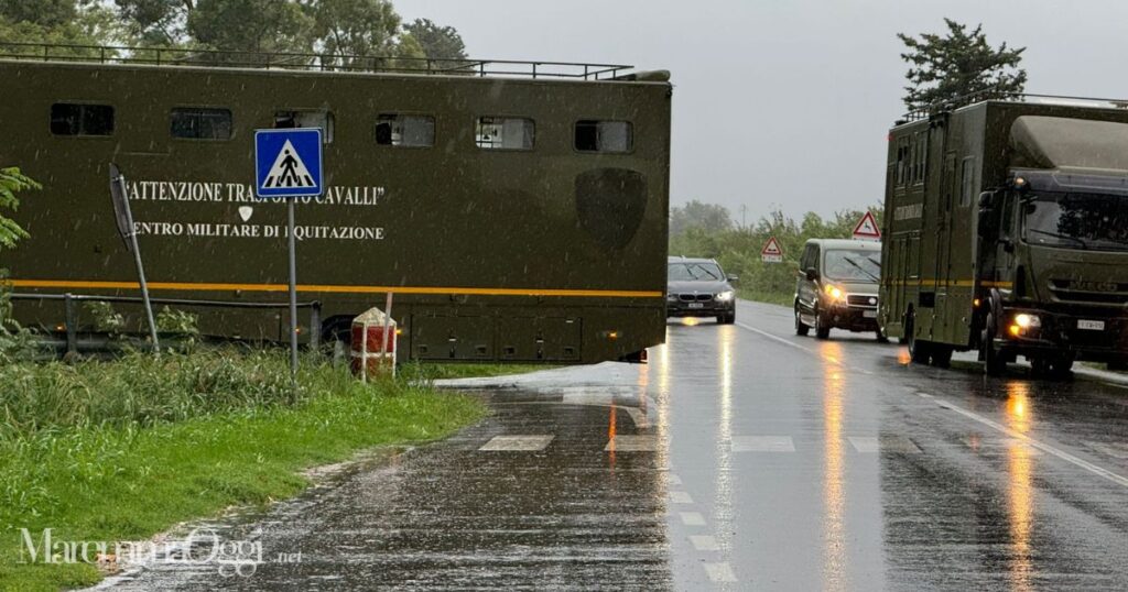 I container dell'Esercito all'ingresso del Cemivet