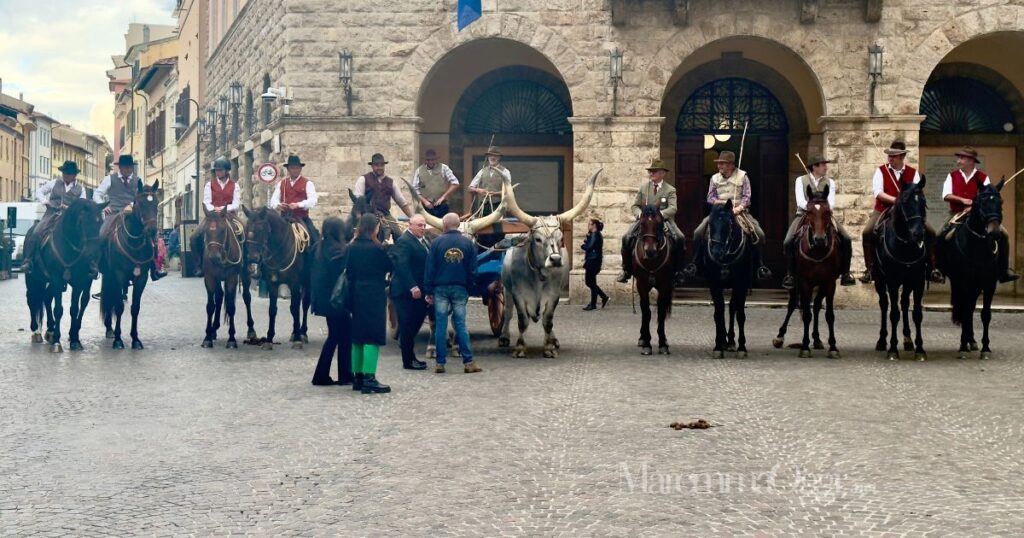 La partenza del corteo del festival del cavallo da piazza Duomo