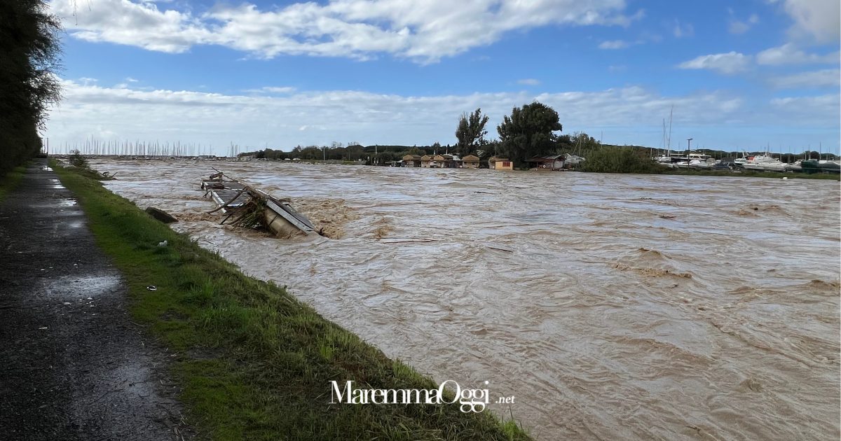 Il fiume Cecina in piena alla foce